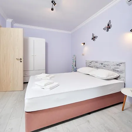 радина * 帕莫瑞