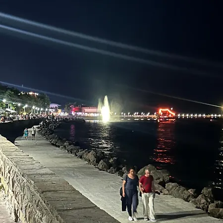 судио диксан Pomorie