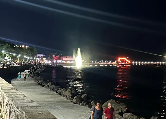 судио диксан ポモリエ